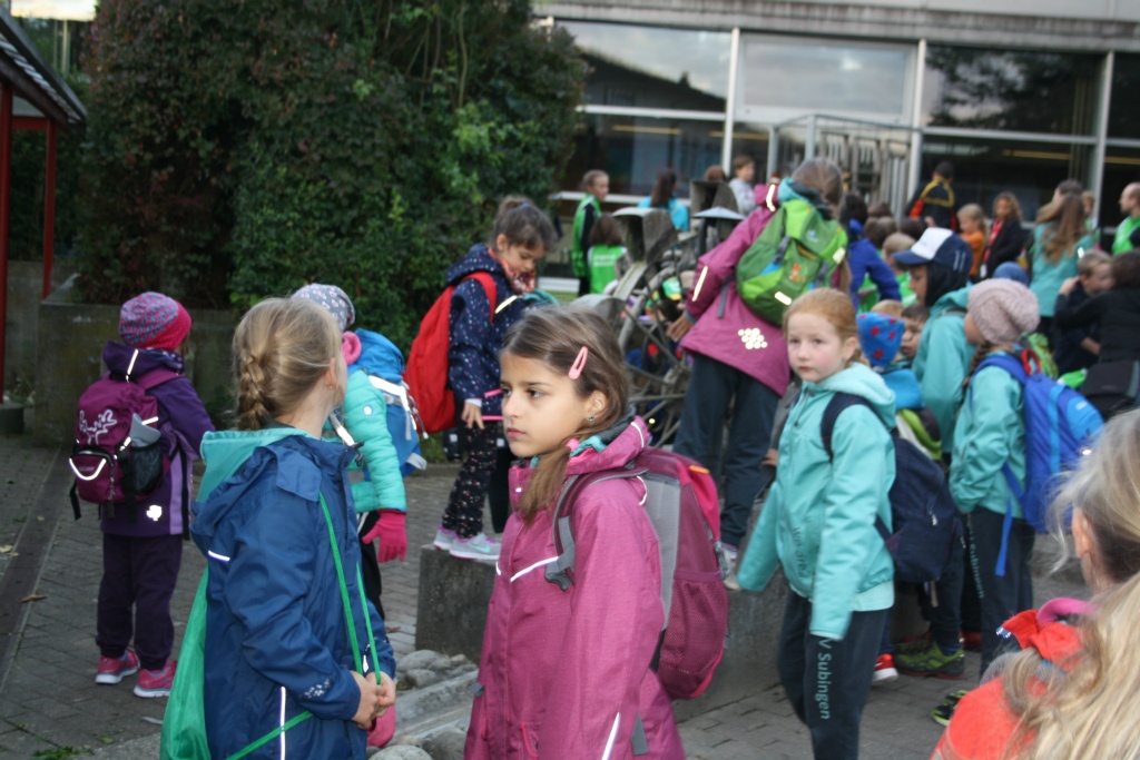 Bild 1 (6)